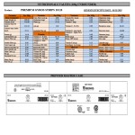 Kronos Premium Cone Style Gyros Beef Strips Uncooked Kronos - 1/10lbs