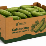 Calabacitas (Mexican Squash) - 35Lbs Medium