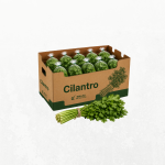 Cilantro Bag - 6Ct