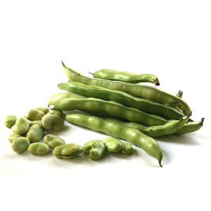 Fava Beans Fresh
