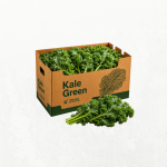 Kale - Green
