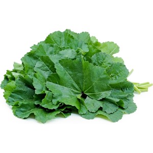 Malva - Fresh