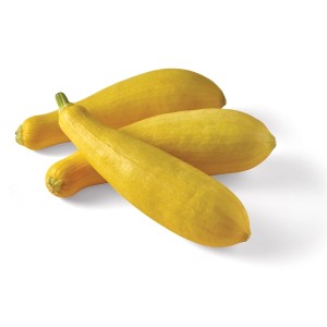 Squash Yellow - 40lbs