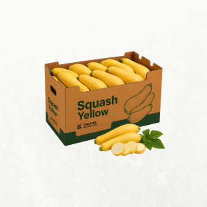 Squash Yellow - 40lbs