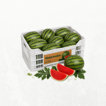 Watermelon - 1ct