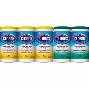 Clorox Disinfecting Bleach-free Cleaning Wipes (85wipes/5pk)