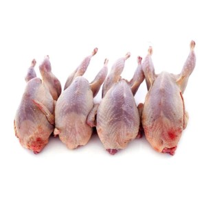 Frozen Whole Quail Jumbo - 6/6pk