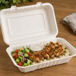 9"X6" Molded Fiber Hinged Container White Ehl-96-Pf Empress Earth - 250Ct