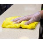Vinyl Powder-Free Glove (Large) Clear Fp-Gv1008 Karat - 1000Ct