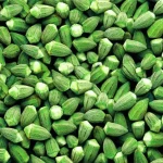 Okra Very Small Frozen Farida - 20/400grs