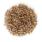 Coriander Whole 50 Lb